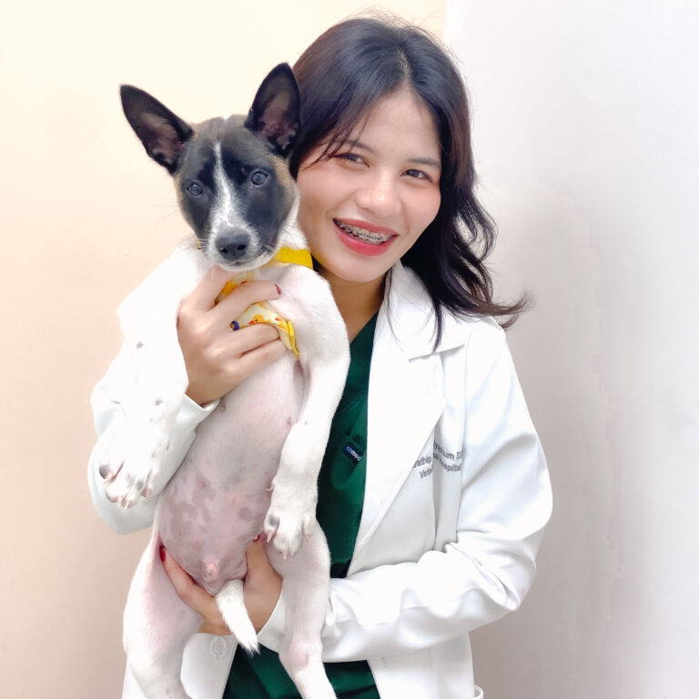 Tarathip Phaechaiyaphum D.V.M (Dr.Nok)