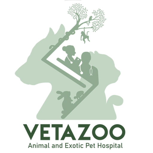 Exotic Animal Hospital Pattaya